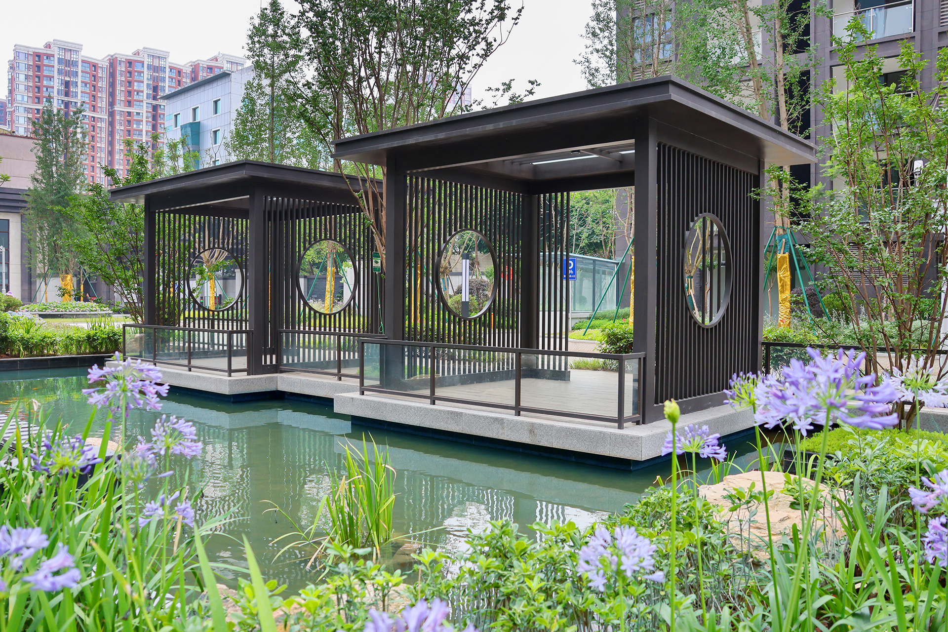 实景照