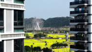 实景图